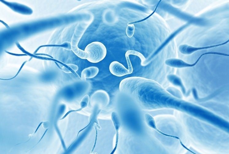 عوامل محیطی چگونه بر تعداد و کیفیت اسپرم ها تأثیر می گذارد؟