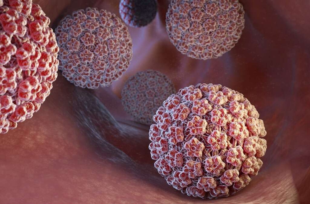ویروس HPV چیست؟
